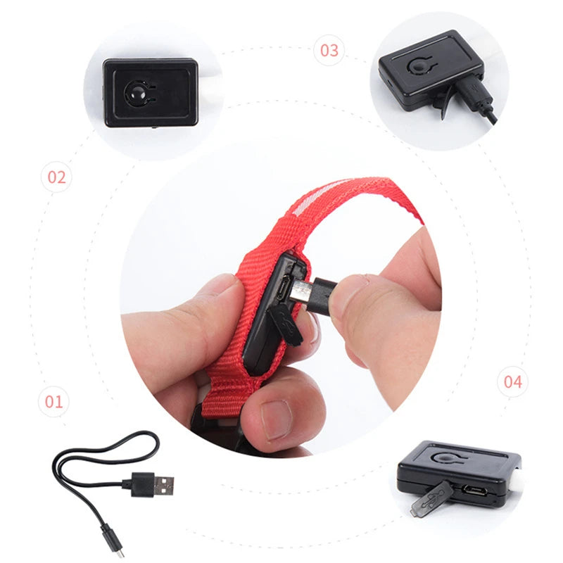 LED Glow USB Dog Collar – Adjustable & Rechargeable Safety Light for Pets.