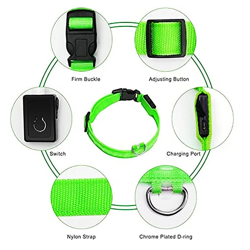 LED Glow USB Dog Collar – Adjustable & Rechargeable Safety Light for Pets.