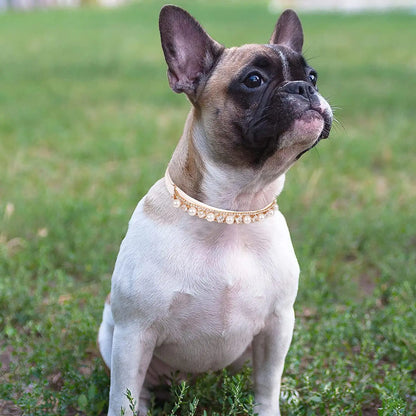 Luxury Rhinestone Puppy Collar for Small Dogs Cat Necklace Bling Crystal Jewelry Pet Accessorie Princess Diamond Wedding Collar-World Bazaar Life