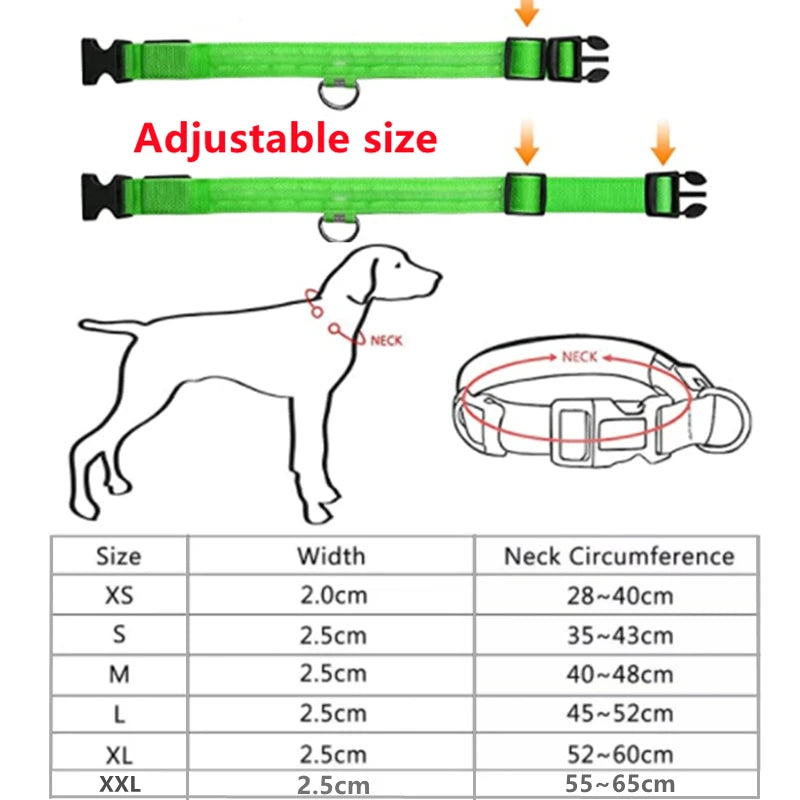 LED Glow USB Dog Collar – Adjustable & Rechargeable Safety Light for Pets.