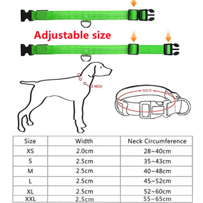 LED Glow USB Dog Collar – Adjustable & Rechargeable Safety Light for Pets.