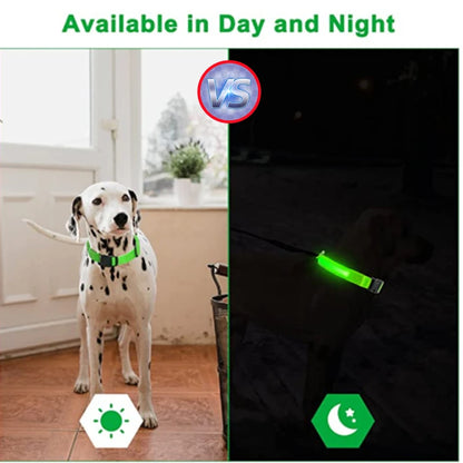 LED Glow USB Dog Collar – Adjustable & Rechargeable Safety Light for Pets.