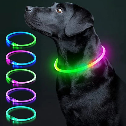 LED Glow USB Dog Collar – Adjustable & Rechargeable Safety Light for Pets.