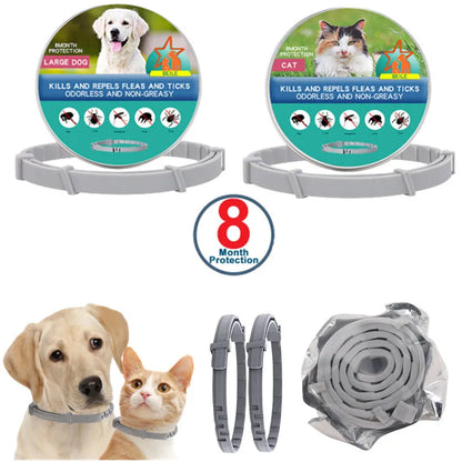 LED Glow USB Dog Collar – Adjustable & Rechargeable Safety Light for Pets
