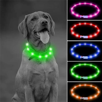 LED Glow USB Dog Collar – Adjustable & Rechargeable Safety Light for Pets