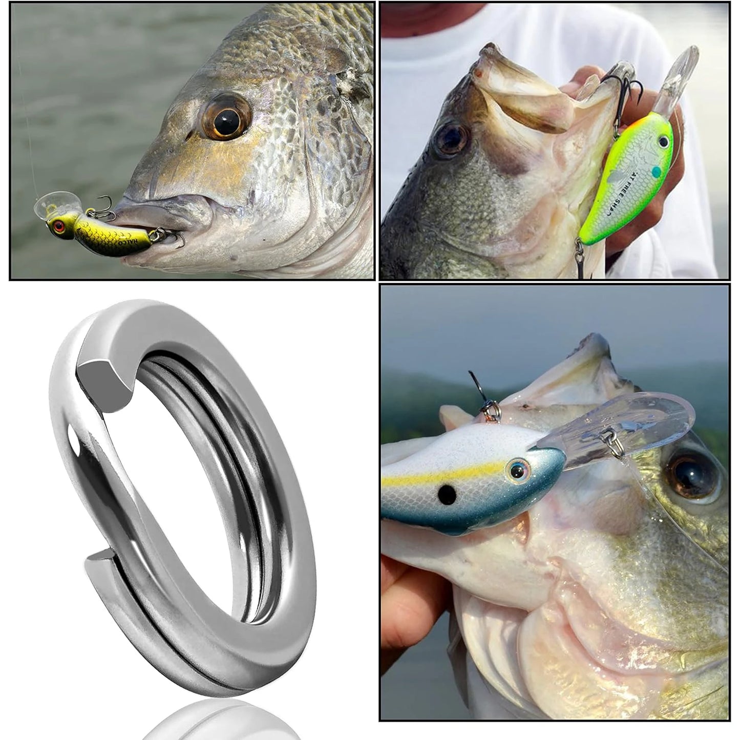 Fishing Pro Spaltringe aus Edelstahl – Hochfester Angelschlaufenverbinder (200/250 Stück) – Bestbewertet und benutzerfreundlich