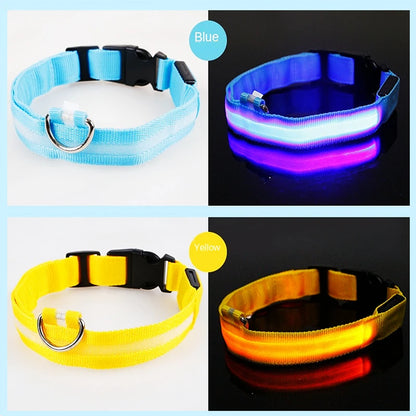 LED Glow USB Dog Collar – Adjustable & Rechargeable Safety Light for Pets