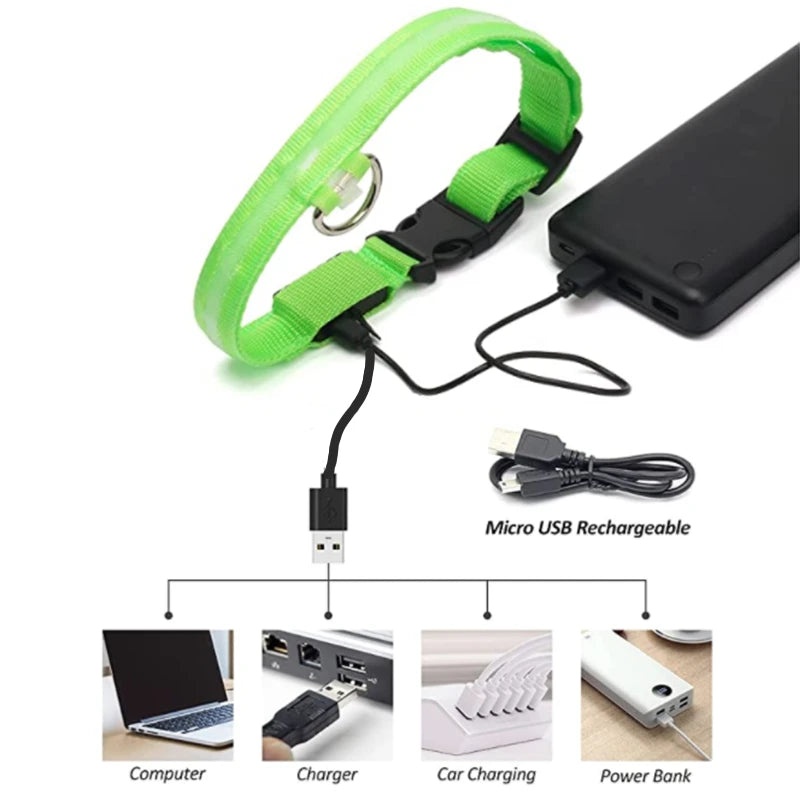 LED Glow USB Dog Collar – Adjustable & Rechargeable Safety Light for Pets.
