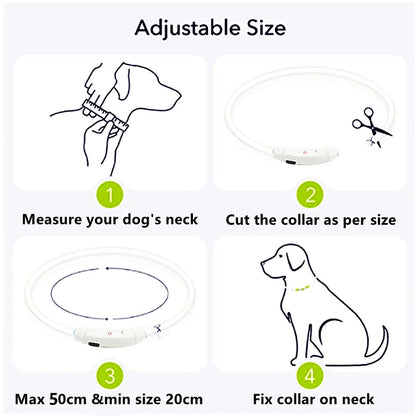 LED Glow USB Dog Collar – Adjustable & Rechargeable Safety Light for Pets