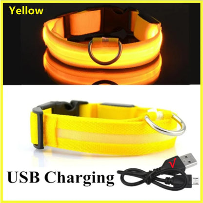 LED Glow USB Dog Collar – Adjustable & Rechargeable Safety Light for Pets