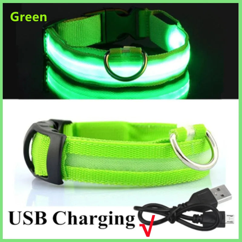 LED Glow USB Dog Collar – Adjustable & Rechargeable Safety Light for Pets.