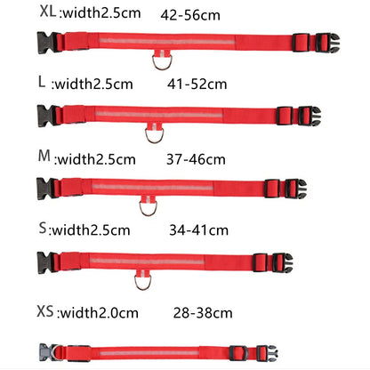 LED Glow USB Dog Collar – Adjustable & Rechargeable Safety Light for Pets.