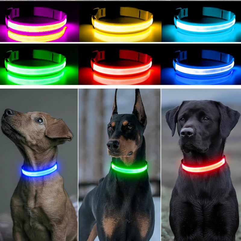 LED Glow USB Dog Collar – Adjustable & Rechargeable Safety Light for Pets.