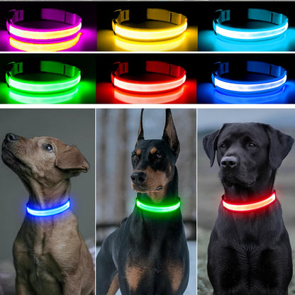 LED Glow USB Dog Collar – Adjustable & Rechargeable Safety Light for Pets.