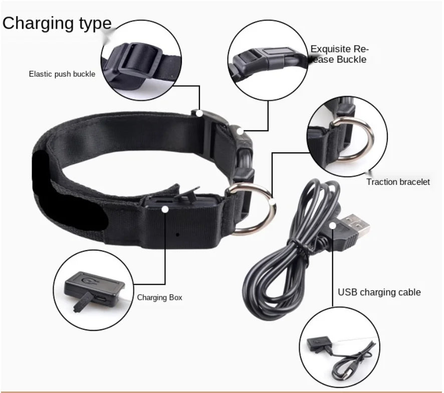 LED Glow USB Dog Collar – Adjustable & Rechargeable Safety Light for Pets.