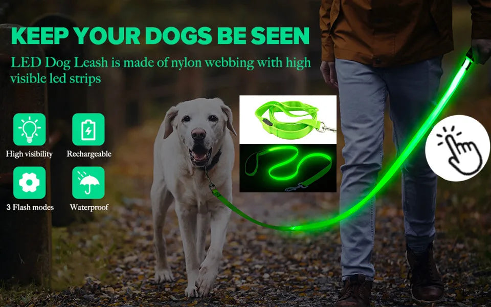 LED Glow USB Dog Collar – Adjustable & Rechargeable Safety Light for Pets.