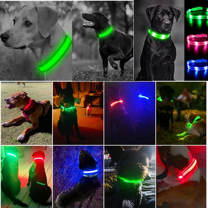 LED Glow USB Dog Collar – Adjustable & Rechargeable Safety Light for Pets