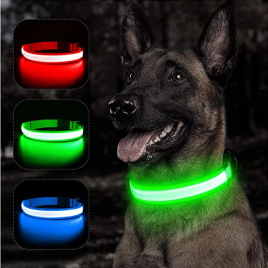 LED Glow USB Dog Collar – Adjustable & Rechargeable Safety Light for Pets.