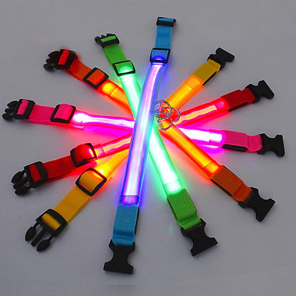 LED Glow USB Dog Collar – Adjustable & Rechargeable Safety Light for Pets.