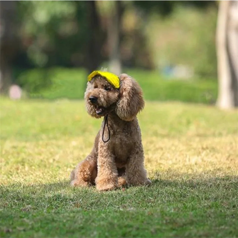 Small Puppy Pets Summer Solid Color Cap Dog Baseball Visor Hat Outdoor Accessories Sun Bonnet Travelhelmet-World Bazaar Life