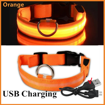 LED Glow USB Dog Collar – Adjustable & Rechargeable Safety Light for Pets