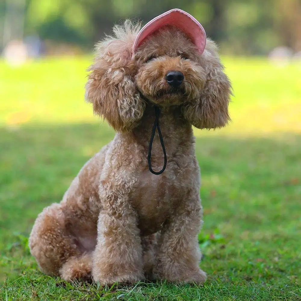 Pet Baseball Hat Outdoor Cat Dog Adjustable Visor Hat Summer Pet Travel Sports Sun Cap With Ear Holes-World Bazaar Life