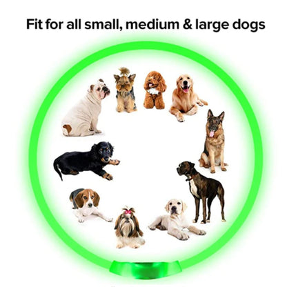 LED Glow USB Dog Collar – Adjustable & Rechargeable Safety Light for Pets