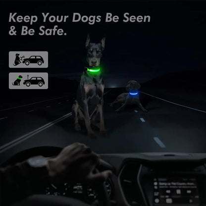 LED Glow USB Dog Collar – Adjustable & Rechargeable Safety Light for Pets