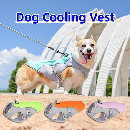 Summer Dog Cooling Vest – Lightweight, Breathable, Sun-Proof