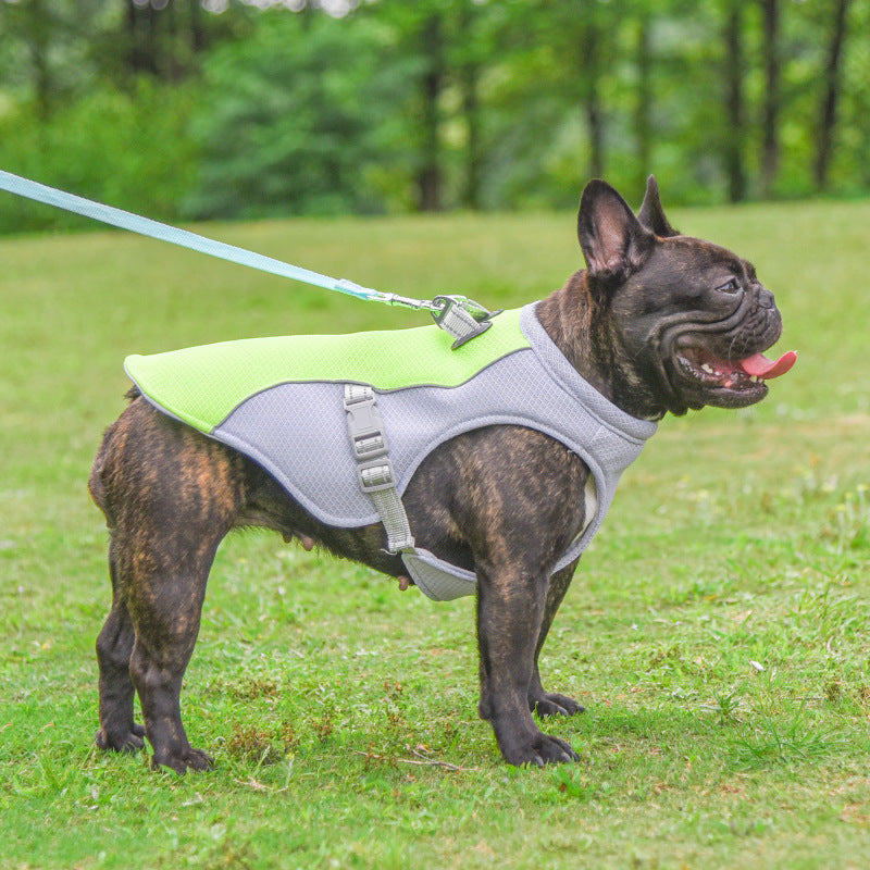 Summer Dog Cooling Vest – Lightweight, Breathable, Sun-Proof